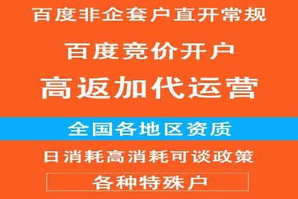 解析SEM推广代运营公司的成功案例及效果